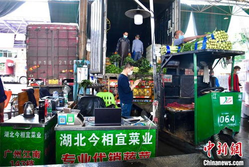 廣州開啟湖北農副產品采購熱潮，助力農業復蘇