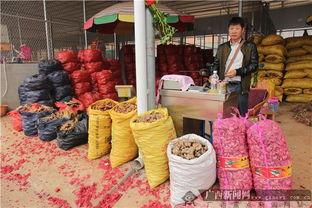 南寧市仁義農(nóng)副產(chǎn)品批發(fā)市場盛大開業(yè) 助力區(qū)域“菜籃子”工程建設(shè)